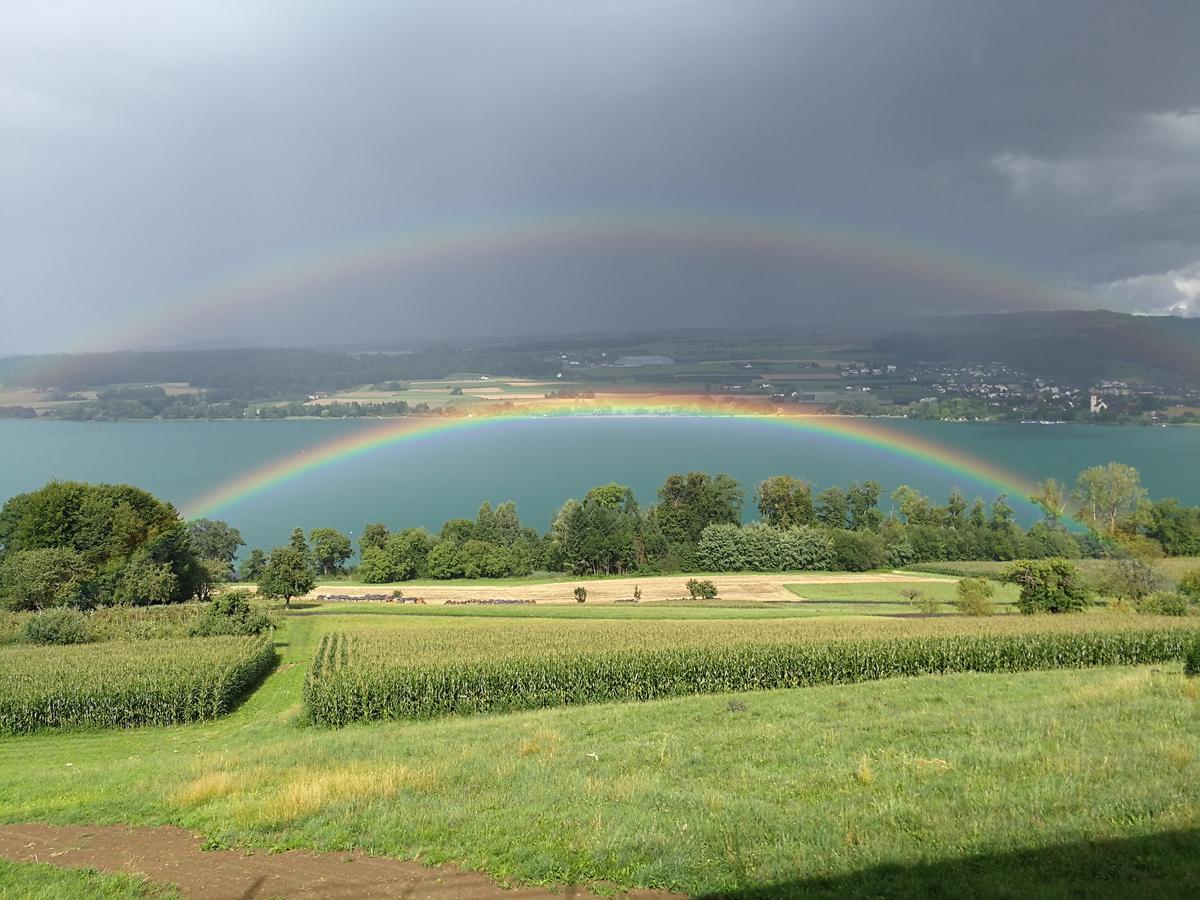 Lake View Apartments Beinwil am See  Buitenkant foto